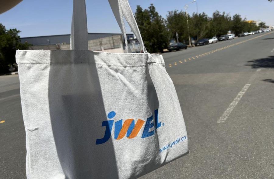 פּיק -1 פּיק -1